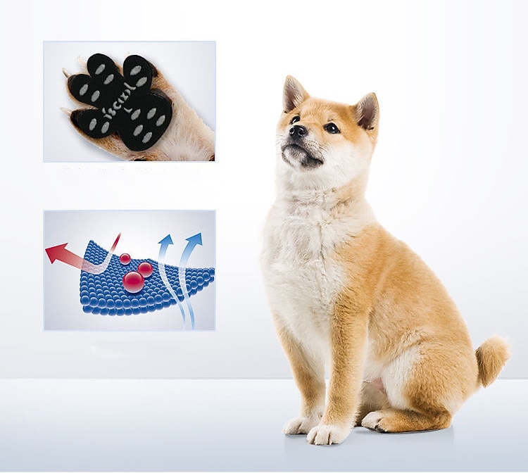 hundepotebeskyttelsesputer sklisikre potegrep trekkputer gir trekkraft og støtte for svake poter for å forhindre at hunden glir på glatte gulv 2026 - $15.99 –P7