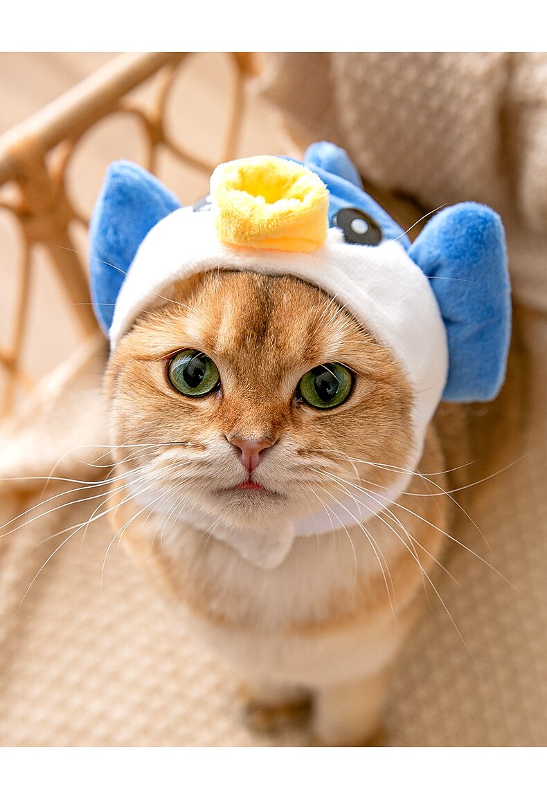 Σκυλιά Γάτες Καπέλα, Κάπες & Μπαντάνες Μοντέρνα χαριτωμένο στυλ Αναπνέει Moale Πλένεται Άνετο Πάρτι Αργίες Καθημερινά Ρούχα για σκύλους 2025 - $10.99 –P4