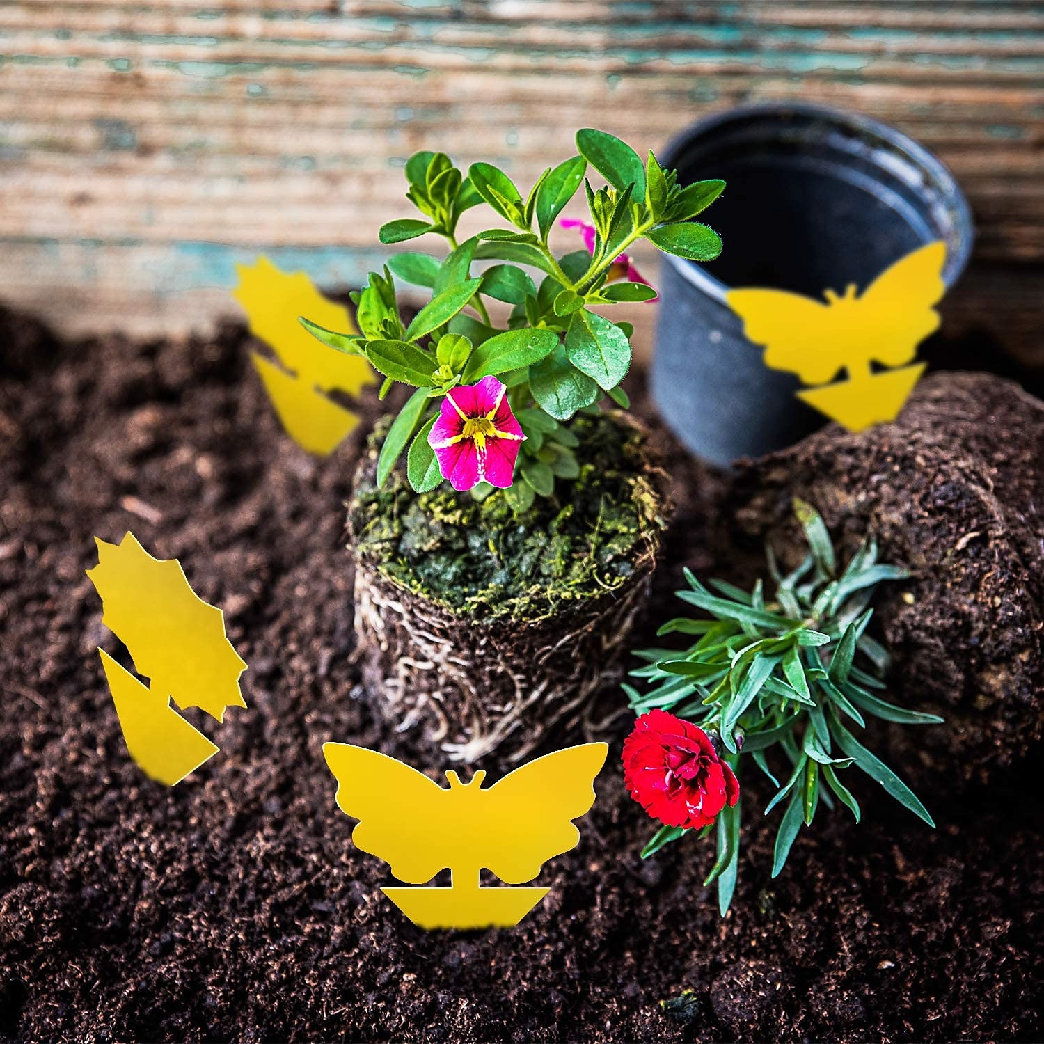 24 pièces mouches des fruits et champignons moucherons piège jaune collant bug insecte tueur pour intérieur et extérieur insectes antiparasitaires jardin forte colle plante de 2025 ? $10.99 –P2