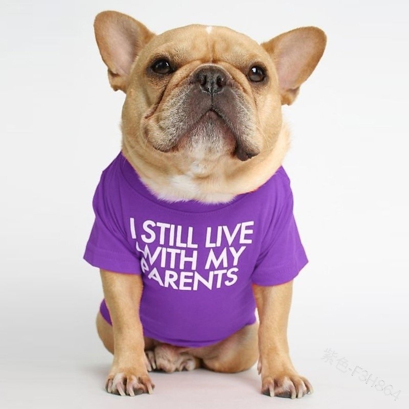 Psy Koty T-shirt Moda Śłodkie Oddychający Miękka Zmywalny Wygodny Na zewnątrz Codzienne Ubranka dla psów for Bichon frise Szpic miniaturowy szczeniaków i młodych kotów Motyl Small 2025 - $15.49 –P20