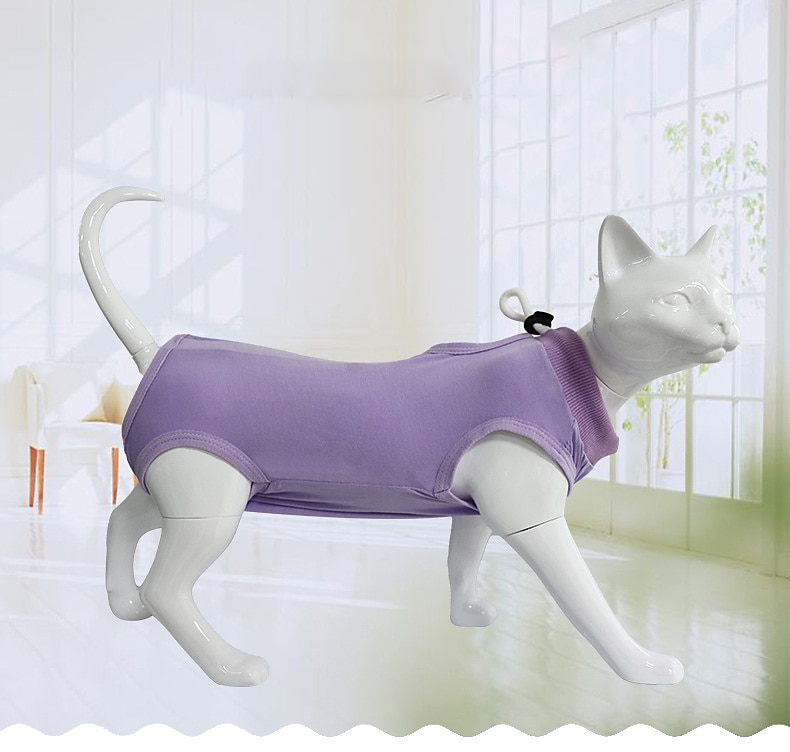 Hund Katt Kostym för kirurgisk återhämtning Mode söt stil Andningsfunktion Mjuk Tvättbar Bekväm Utomhus Ledigt / vardag for Bichon Frisé Pommeran valpen eller det lilla husdjuret Fjäril Small 2025 - $17.99 –P7
