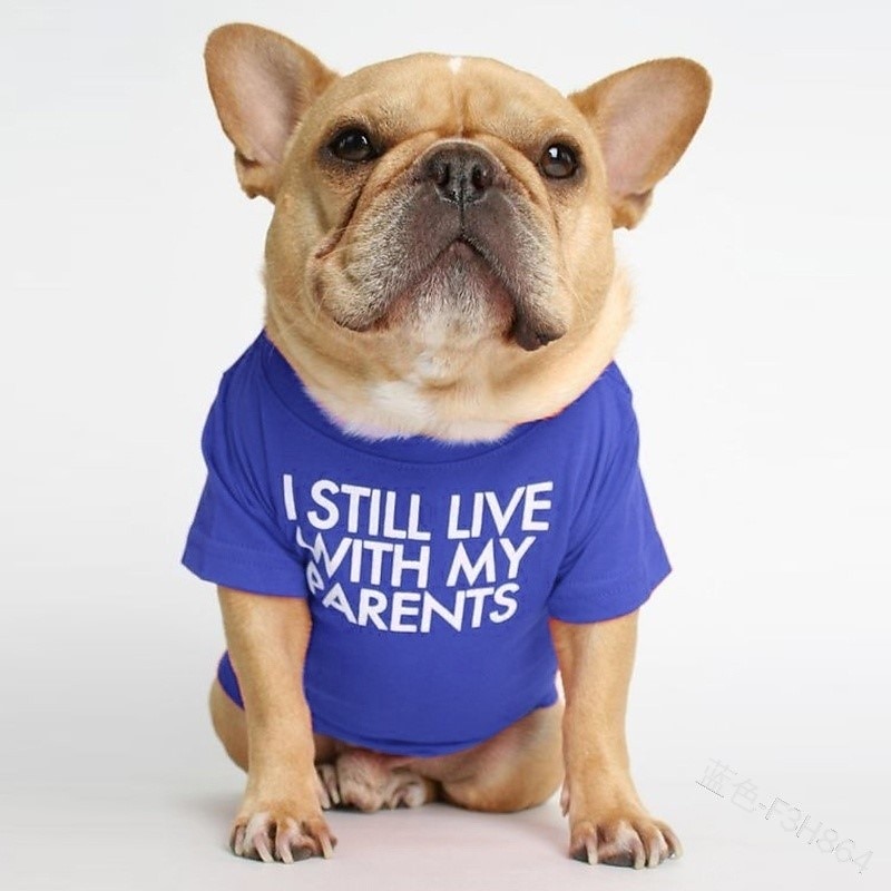 Psy Koty T-shirt Moda Śłodkie Oddychający Miękka Zmywalny Wygodny Na zewnątrz Codzienne Ubranka dla psów for Bichon frise Szpic miniaturowy szczeniaków i młodych kotów Motyl Small 2025 - $15.49 –P14