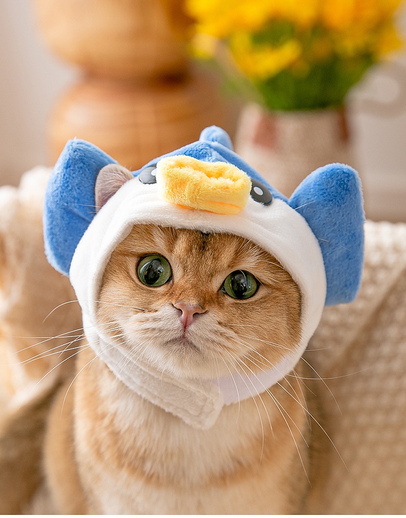 Σκυλιά Γάτες Καπέλα, Κάπες & Μπαντάνες Μοντέρνα χαριτωμένο στυλ Αναπνέει Moale Πλένεται Άνετο Πάρτι Αργίες Καθημερινά Ρούχα για σκύλους 2025 - $10.99 –P1