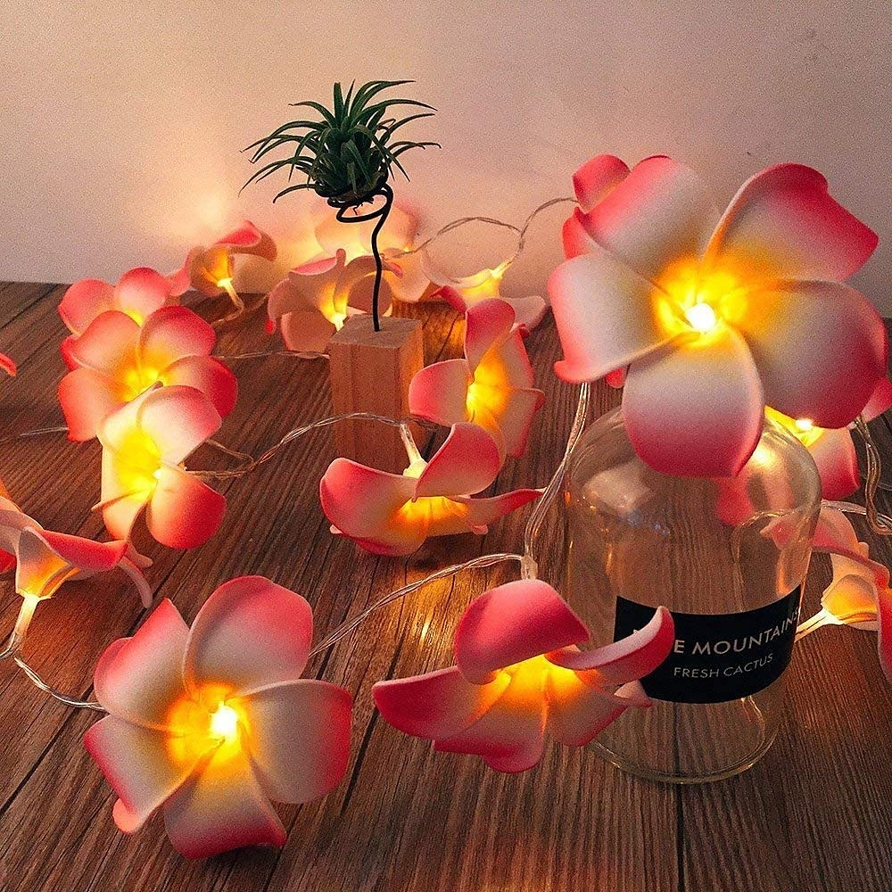 3m 20 led luci stringa di fiori luce frangipani per la decorazione domestica luce fata ghirlanda ghirlanda lampada da decorazione per feste di nozze all'aperto del 2025 a ₽1774.92 –P2