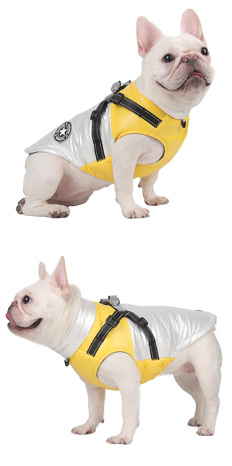 Hunder Katter Frakker Jakke Vest Mote Fritid Vinter Reflekterende Vanntett Varm Pustende Myk utendørs Fritid / hverdag Vandring Hundeklær for Bichon Frisé Pommeran ungt kjæledyr Sommerfugl Small 2025 - $20.99 –P14