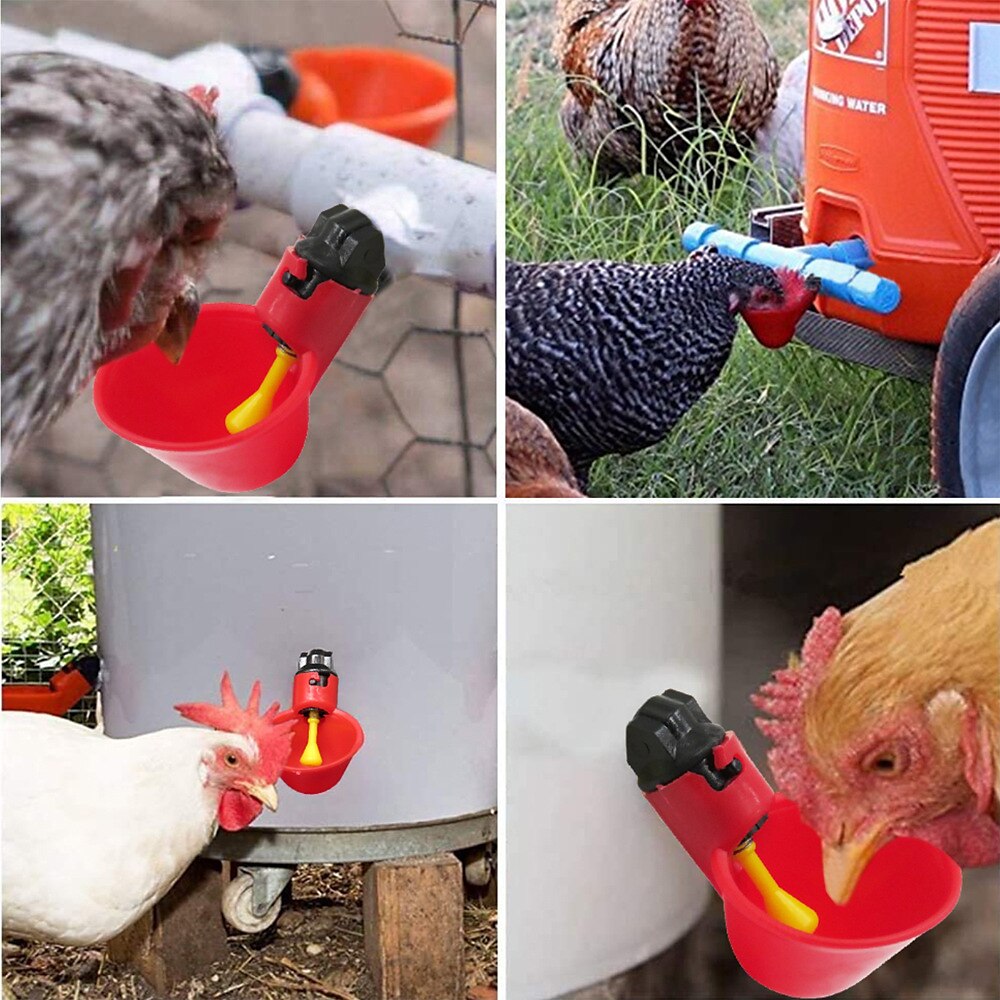 5pcs Automatic Chicken Waterer Cups Plastic Backyards Chicken Water Feeder Poultry Water Drinking Cups Bowls Float Style Feed 2025 - $10.99 –P6