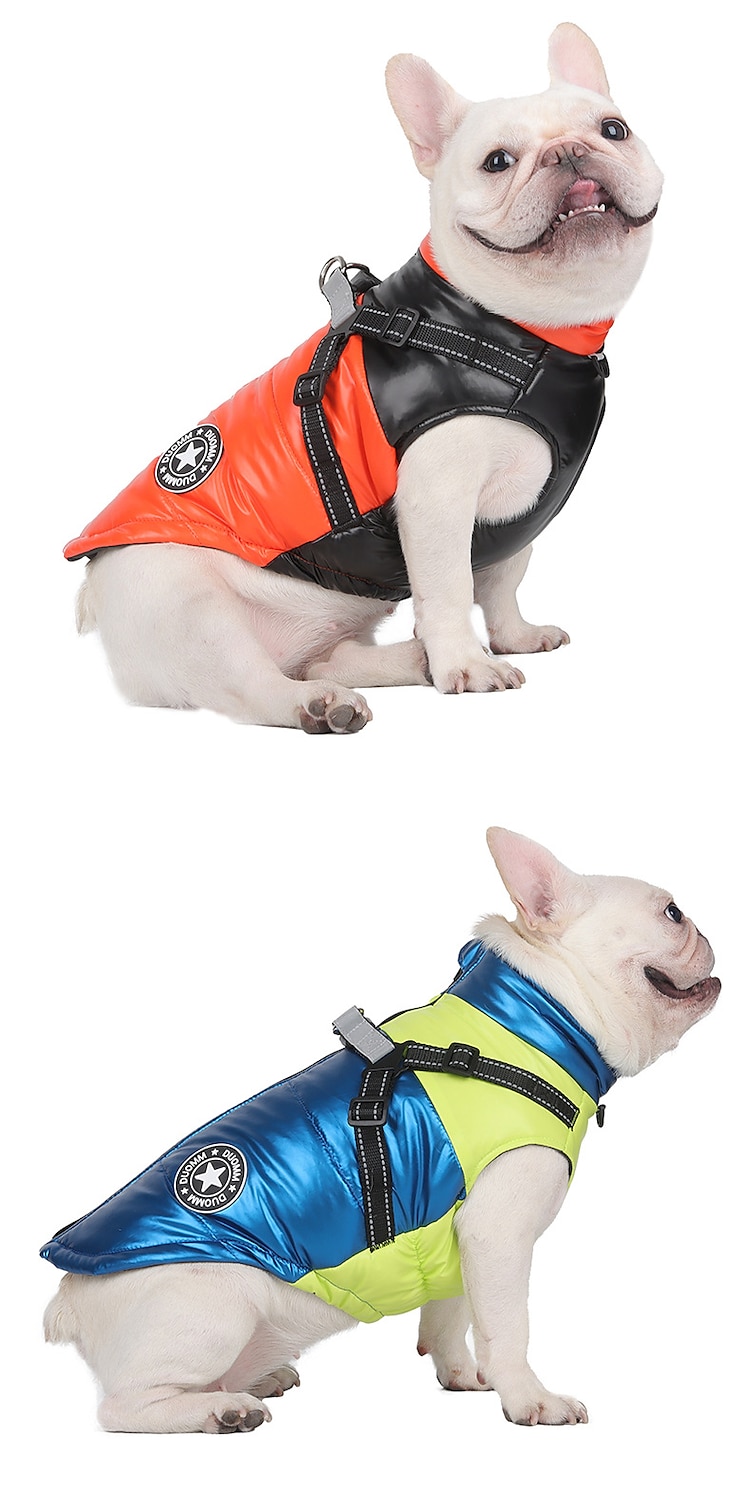Hunder Katter Frakker Jakke Vest Mote Fritid Vinter Reflekterende Vanntett Varm Pustende Myk utendørs Fritid / hverdag Vandring Hundeklær for Bichon Frisé Pommeran ungt kjæledyr Sommerfugl Small 2025 - $20.99 –P13