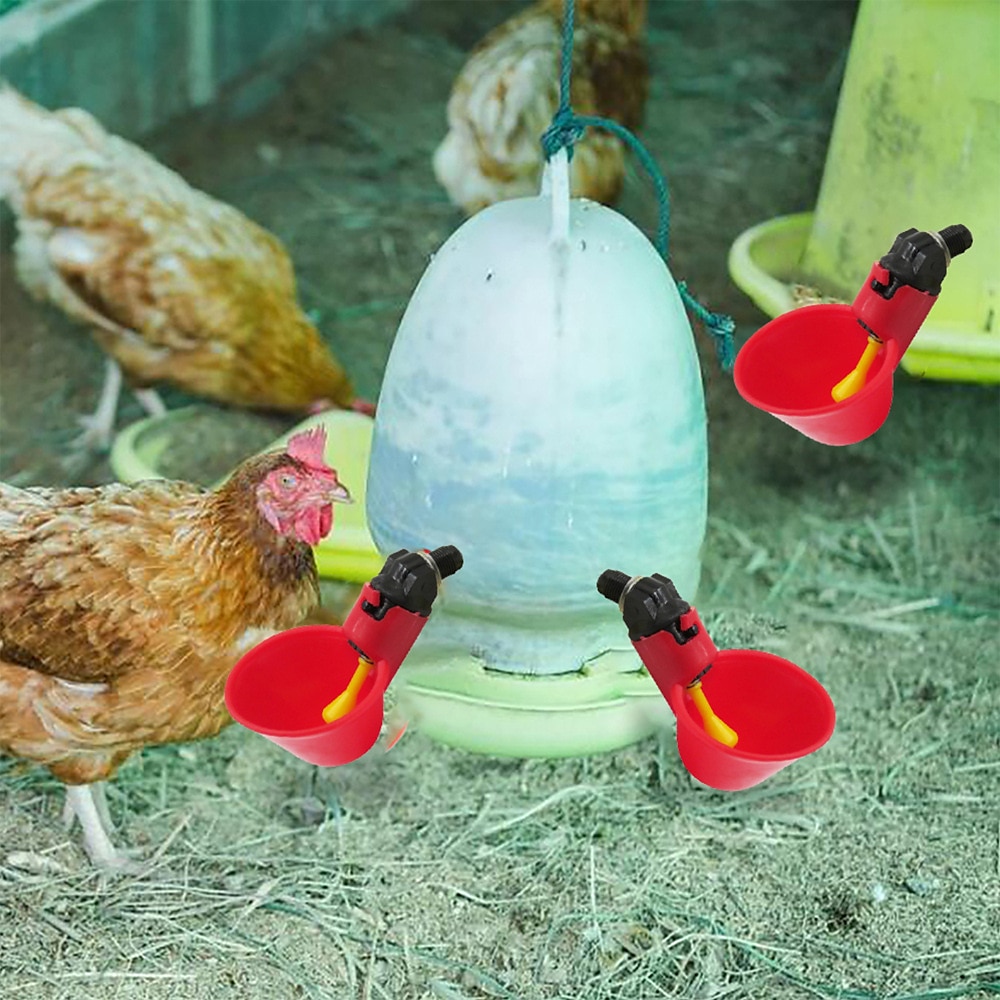 5pcs Automatic Chicken Waterer Cups Plastic Backyards Chicken Water Feeder Poultry Water Drinking Cups Bowls Float Style Feed 2025 - $10.99 –P7