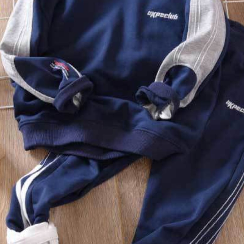Da ragazzo 3D Color Block Set felpa con cappuccio e pantaloni della tuta Completo Manica lunga Autunno Inverno Di tendenza Stile preppy Cotone Bambino 3-12 anni Sport Standard del 2025 a $26.99 –P9