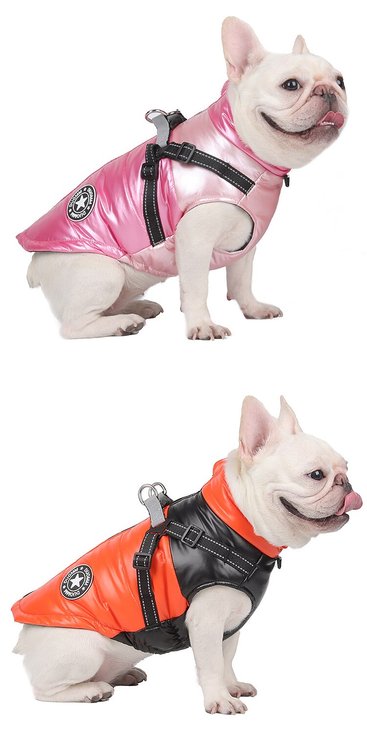 Hunder Katter Frakker Jakke Vest Mote Fritid Vinter Reflekterende Vanntett Varm Pustende Myk utendørs Fritid / hverdag Vandring Hundeklær for Bichon Frisé Pommeran ungt kjæledyr Sommerfugl Small 2025 - $20.99 –P12