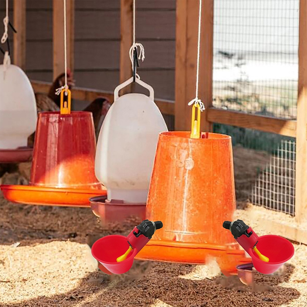 5pcs Automatic Chicken Waterer Cups Plastic Backyards Chicken Water Feeder Poultry Water Drinking Cups Bowls Float Style Feed 2025 - $10.99 –P9