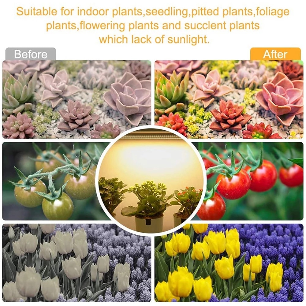 5 Modes Indoor Led Grow Light USB Timer Phyto Lamp Plants Dimmable LED Lamp Phytolamps Hydroponics Growing Lamps 2025 - $19.99 –P8