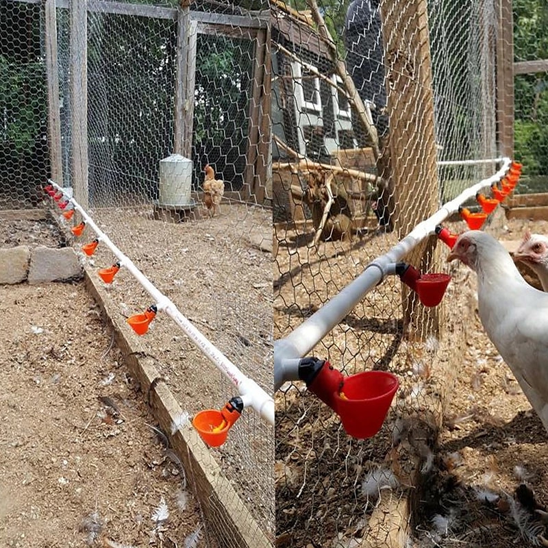 5pcs Automatic Chicken Waterer Cups Plastic Backyards Chicken Water Feeder Poultry Water Drinking Cups Bowls Float Style Feed 2025 - $10.99 –P3