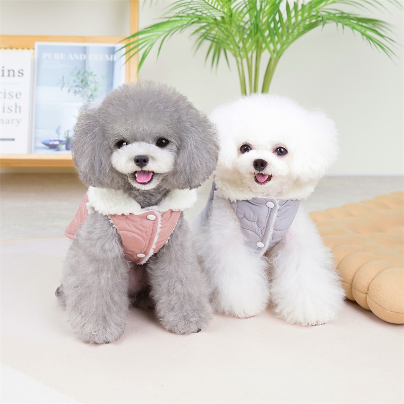 Hund Katt Kappor Jakke söt stil Ljuv Vinter Mjuk Bekväm Vardag Ledigt / vardag Hundkläder for Hes Labrador alaskan malamute golden retriever Dalmatiner 2025 - $15.49 –P6