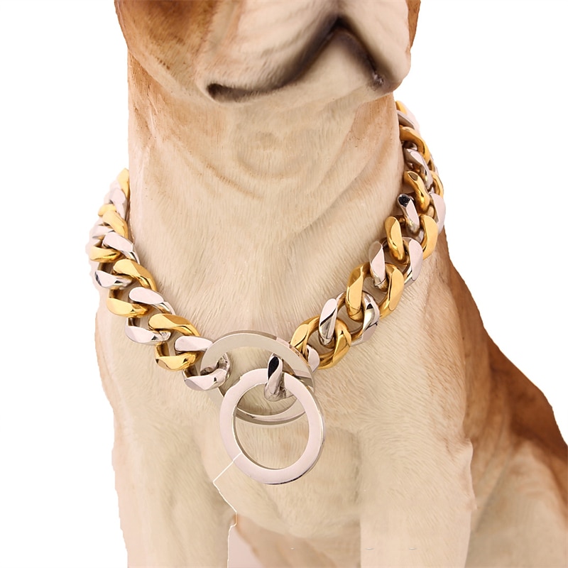 15mm Ebay Titanium Steel Stainless Steel Golden Pitbull Pet Large