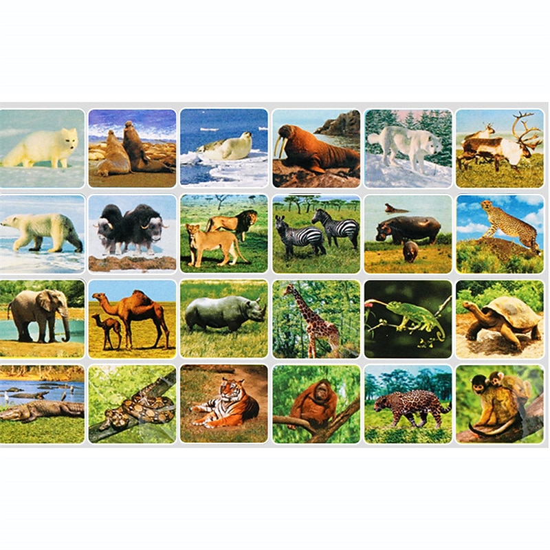 Linterna de proyección para niños, proyector de luz con bonitos dibujos de dinosaurios, animales, espacio, luz de fotografía nocturna, juguetes divertidos para la hora de dormir y aprender, regalos 2026 - HUF 6315 –P14