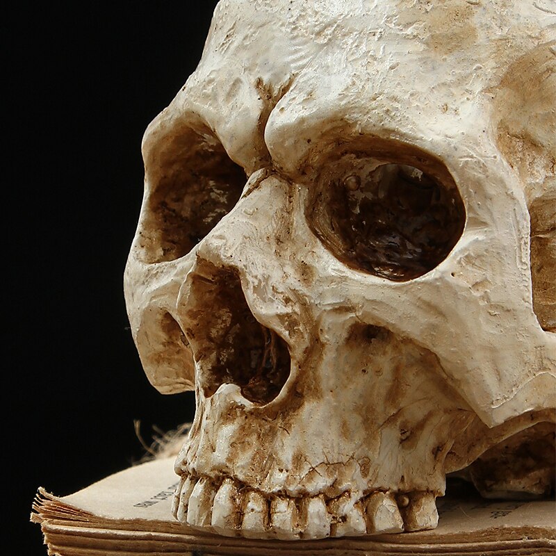 2025年 ハロウィーンの頭蓋骨樹脂キャンドルホルダー - スケルトンキャンドルスティックハロウィーンデコレーション(キャンドルは含まれません) コレクション – $9.49 –P4