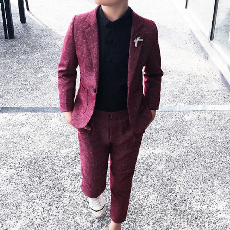 2 Pièces Costume de Porteur d'Alliance Garçon Enfants Costume / Tailleur Costume formel Costume et Blazer Ensemble de Vêtements Ecole Formel Extérieur Mode Frais Doux Couleur unie Vin Bleu Poudr de 2025 ? $43.99 –P3