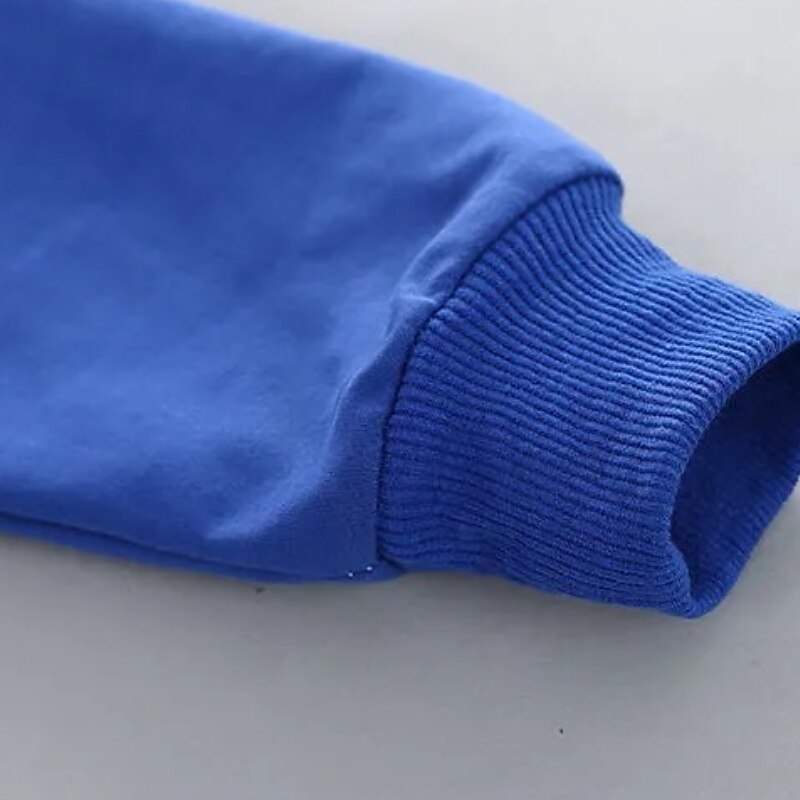 2-delig Kinderen Jongens Hoodie & shorts Kledingset Kleding Brief Lange mouw Katoen Set Buiten Modieus Dagelijks Winter Herfst 7-13 jaar blauw Rood 2025 - $23.99 –P10