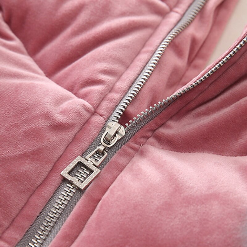 Manteau Duvet Enfants Fille Couleur Unie Actif École Polyester Manteau Vêtements d'extérieur 3-12 ans Automne Rose Claire de 2025 ? $39.99 –P3