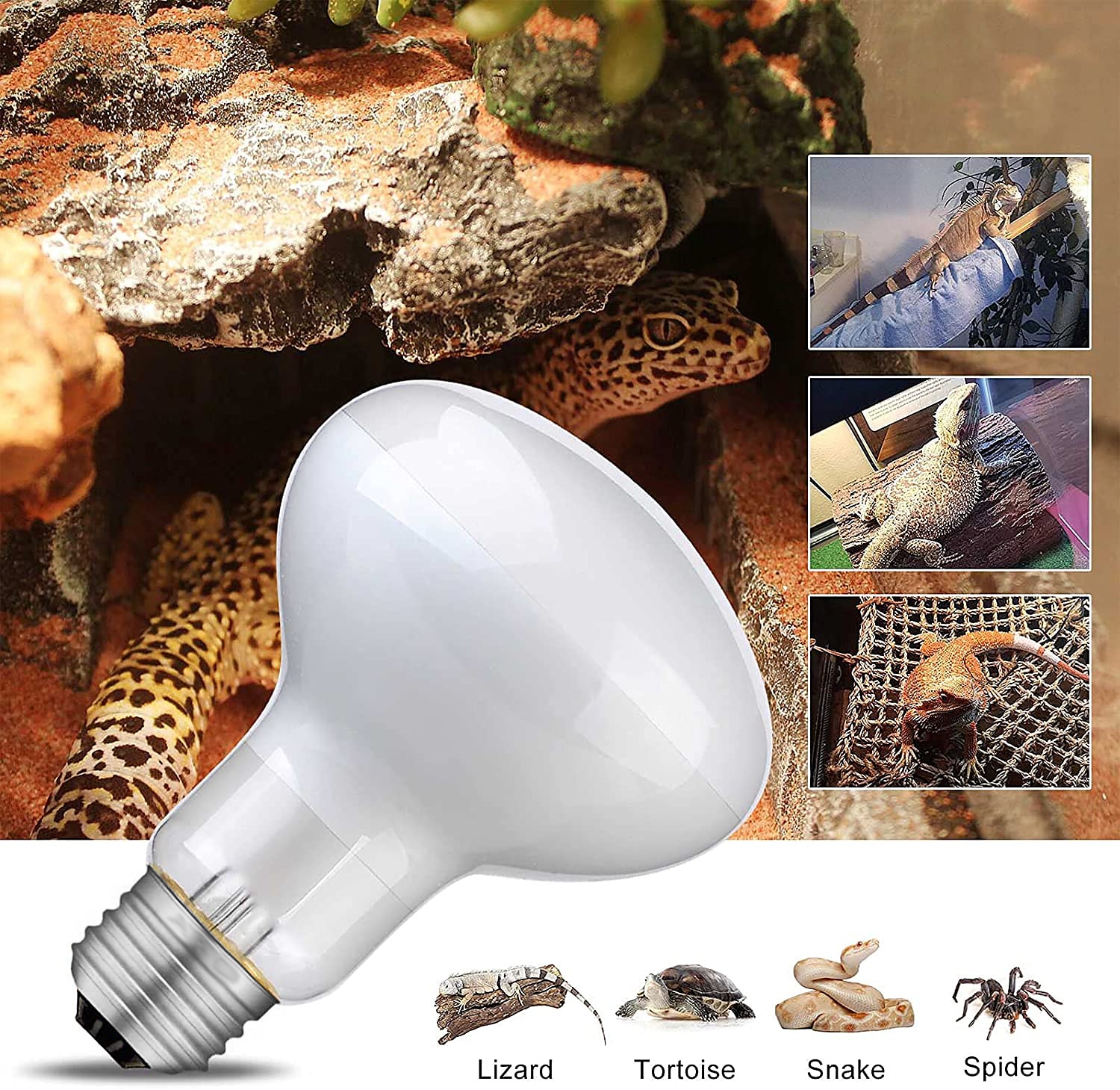 UVA Reptile Heating Lamp - Full Spectrum 50W/100W Bulb Black Light for Tortoise, Lizard, & Bearded Dragon Tank E27 Base 2pcs 2025 - $13.99 –P8