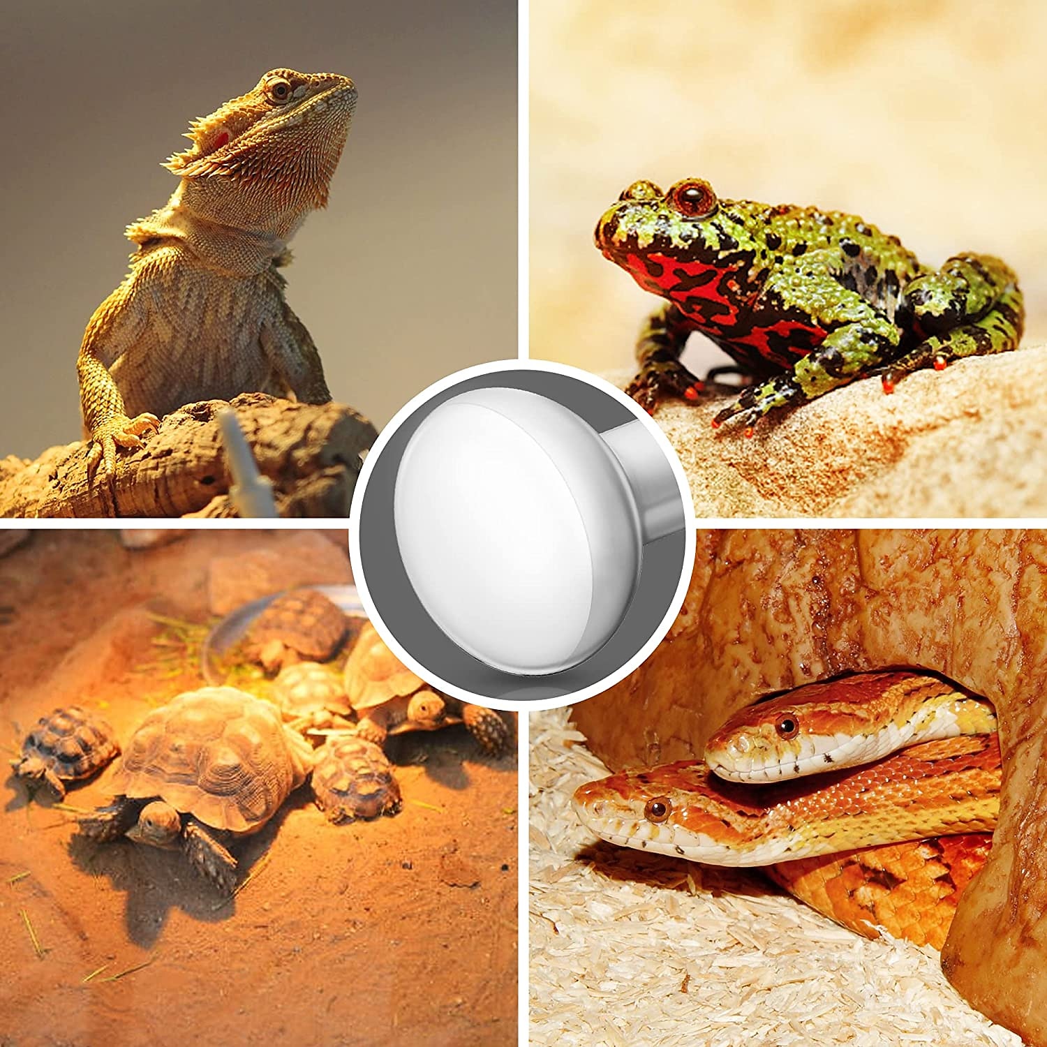 UVA Reptile Heating Lamp - Full Spectrum 50W/100W Bulb Black Light for Tortoise, Lizard, & Bearded Dragon Tank E27 Base 2pcs 2025 - $13.99 –P5