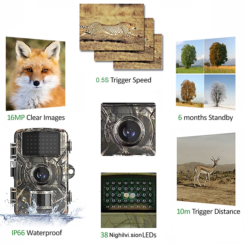 DL001 Hunting Trail Camera 16MP 1080P Wildlife Scouting Camera with 12M Night Vision Motion Sensor IP66 Waterproof Trail Camera 2025 - $55.99 –P4