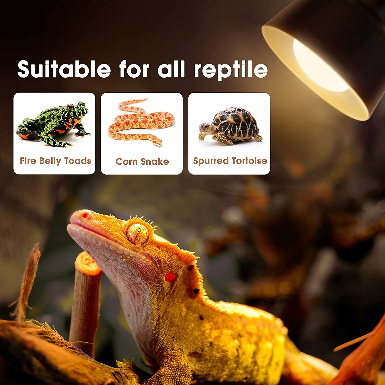 UVA Reptile Heating Lamp - Full Spectrum 50W/100W Bulb Black Light for Tortoise, Lizard, & Bearded Dragon Tank E27 Base 2pcs 2025 - $13.99 –P6