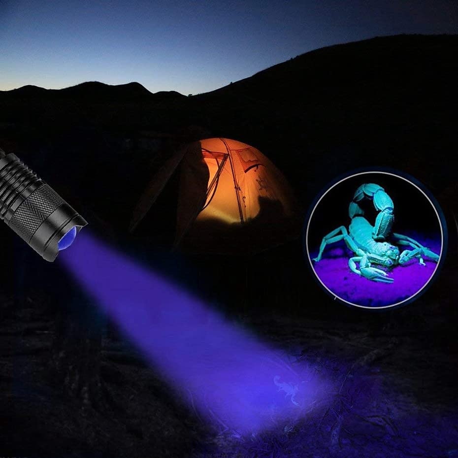 UV φακός εξωτερικού χώρου 365nm υπεριώδες φως με λειτουργία ζουμ mini uv μαύρο φως ανιχνευτής λεκέδων ούρων κατοικίδιων ζώων scorpion χρήση φορητή μπαταρία aa 2025 - $8.99 –P1