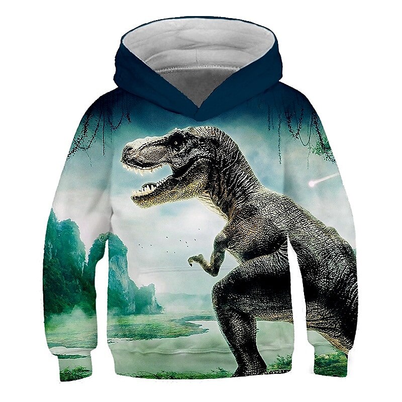 Kids Boys Girls Hoodie Pullover Cat Dinosaur Animal 3D Print Long Sleeve Kid Top Casual 2-12 Years Winter White Red Blue 2025 - $18.99 –P3