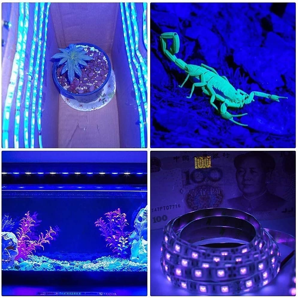 רצועת אור שחור led uv סגול רצועת אור led ממשק usb עם מתג או תיבת סוללה smd2835 380-400nm uv led מנורת אור שחור ללא עמיד למים המתאימה לריקוד ניאון וציפוי גוף uv 2025 - $2.99 –P5