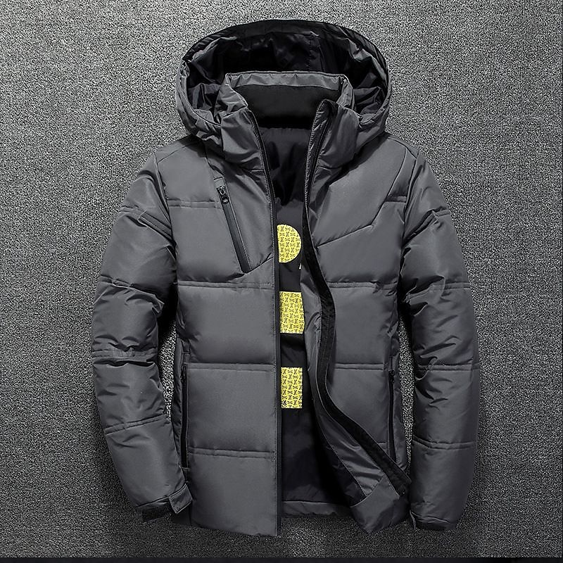 Herr Vinterkappa Vinterjacka Dun Pufferjacka Ficka Kontor & Karriär Datum Ledigt / vardag Utomhus Fritid Sport Vinter Enfärgad / vanlig färg Mörkgrå Svart Pufferjacka 2025 - $49.99 –P5