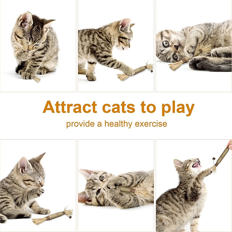 2025年 3 パック Silvervine スティック 猫のおもちゃ 室内猫用 インタラクティブな Silvervine 猫用 キャットニップのおもちゃ 室内猫用 噛むおもちゃ 猫の歯のクリーニング 子猫の歯が生える  コレクション – $16.99 –P7