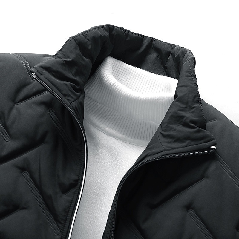 Per uomo Piumino Giacca bomber Giacca trapuntata Zip intera Informale Da tutti i giorni Standard Casual quotidiano Di moda Antivento Tenere al caldo Autunno Inverno Righe e Plaid Nero Verde chiaro del 2025 a $44.99 –P4