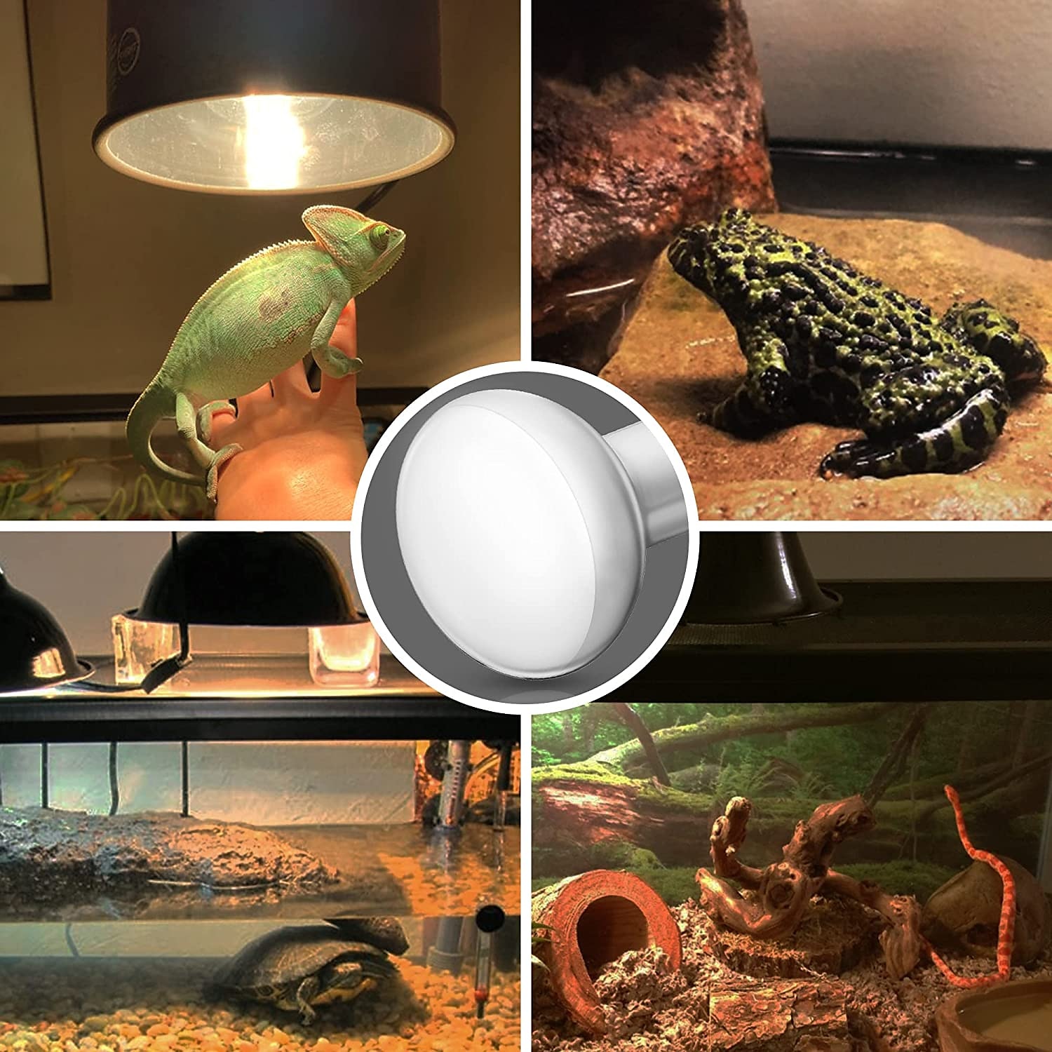 UVA Reptile Heating Lamp - Full Spectrum 50W/100W Bulb Black Light for Tortoise, Lizard, & Bearded Dragon Tank E27 Base 2pcs 2025 - $13.99 –P4