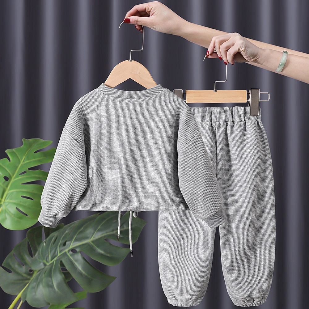 Mädchen 3D Feste Farbe Buchstabe Set aus Kapuzenpullover und Jogginghose Kleidungsset Langarm Herbst Winter Täglich Brautkleider schlicht Baumwolle kinderkleidung 2-6 Jahre Urlaub Regular Fit 2025 - $28.99 –P6