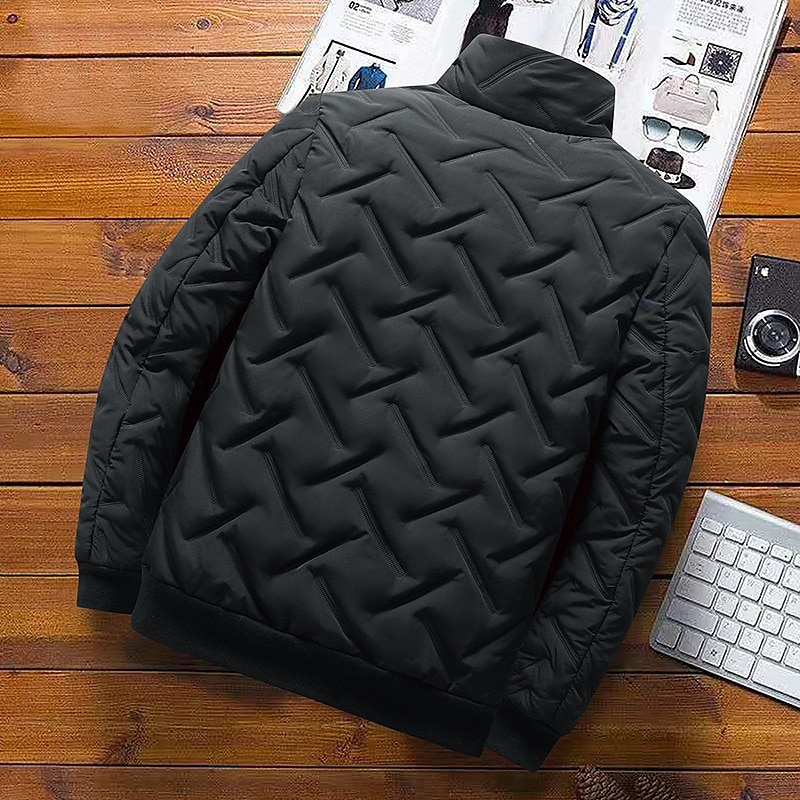 Per uomo Piumino Giacca bomber Giacca trapuntata Zip intera Informale Da tutti i giorni Standard Casual quotidiano Di moda Antivento Tenere al caldo Autunno Inverno Righe e Plaid Nero Verde chiaro del 2025 a $44.99 –P8