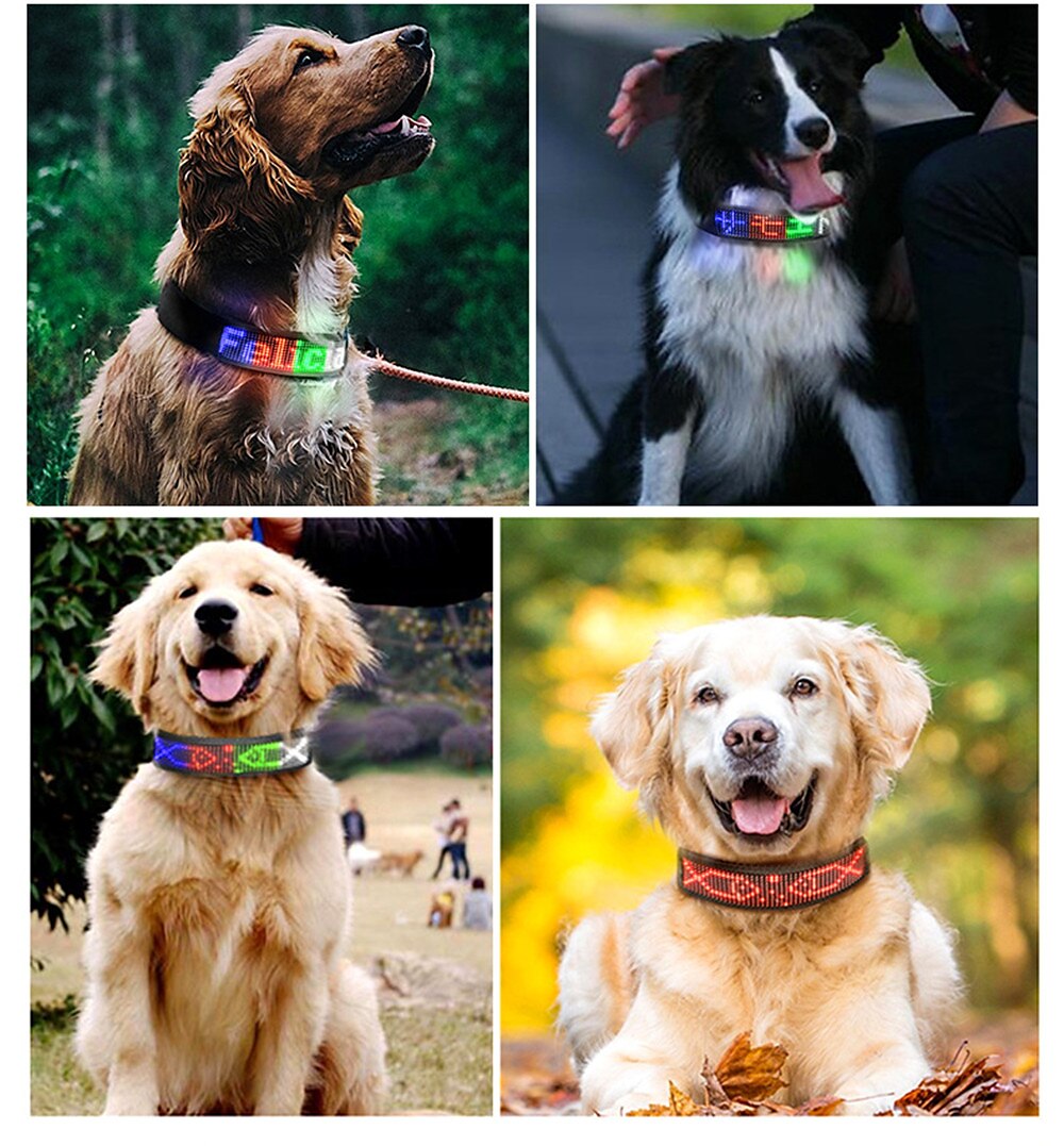 2025年 2023 新しい Bluetooth プログラマブル LED ペット犬猫首輪点滅発光調整可能な名前サイン抗紛失首輪 コレクション – $43.99 –P12