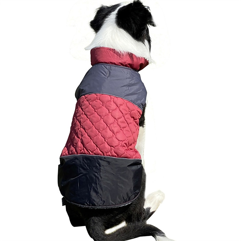 Koirat Kissat Takit Takki söpö tyyli Vapaa-aika Talvi Heijastava Vedenkestävä Lämmin Hengittävä Pehmeä ulko- Rento / arki Koiran vaatteet for Bichon Frise Pomeranian Pienelle lemmikille papillon Small 2025 - $30.99 –P6