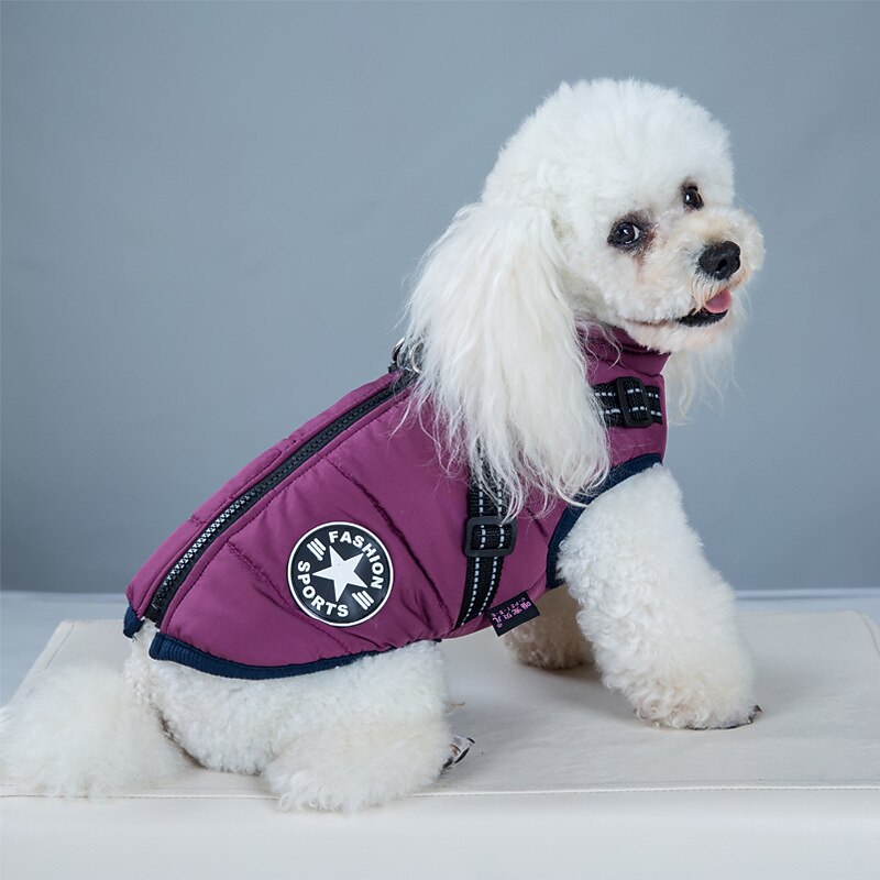 Dog Coat Jacket Dog clothes Winter Reflective Waterproof Warm Breathable Soft Outdoor Dog Clothing 2026 - $28.99 –P12