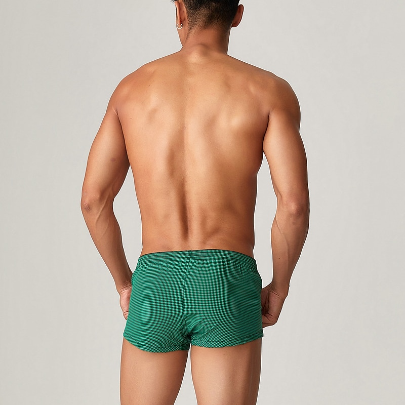 Men's 1pack Underwear Basic Panties Boxers Underwear Briefs Nylon Antibacterial Leak Proof Pure Color Low Waist Blue Green 2025 - $12.49 –P2