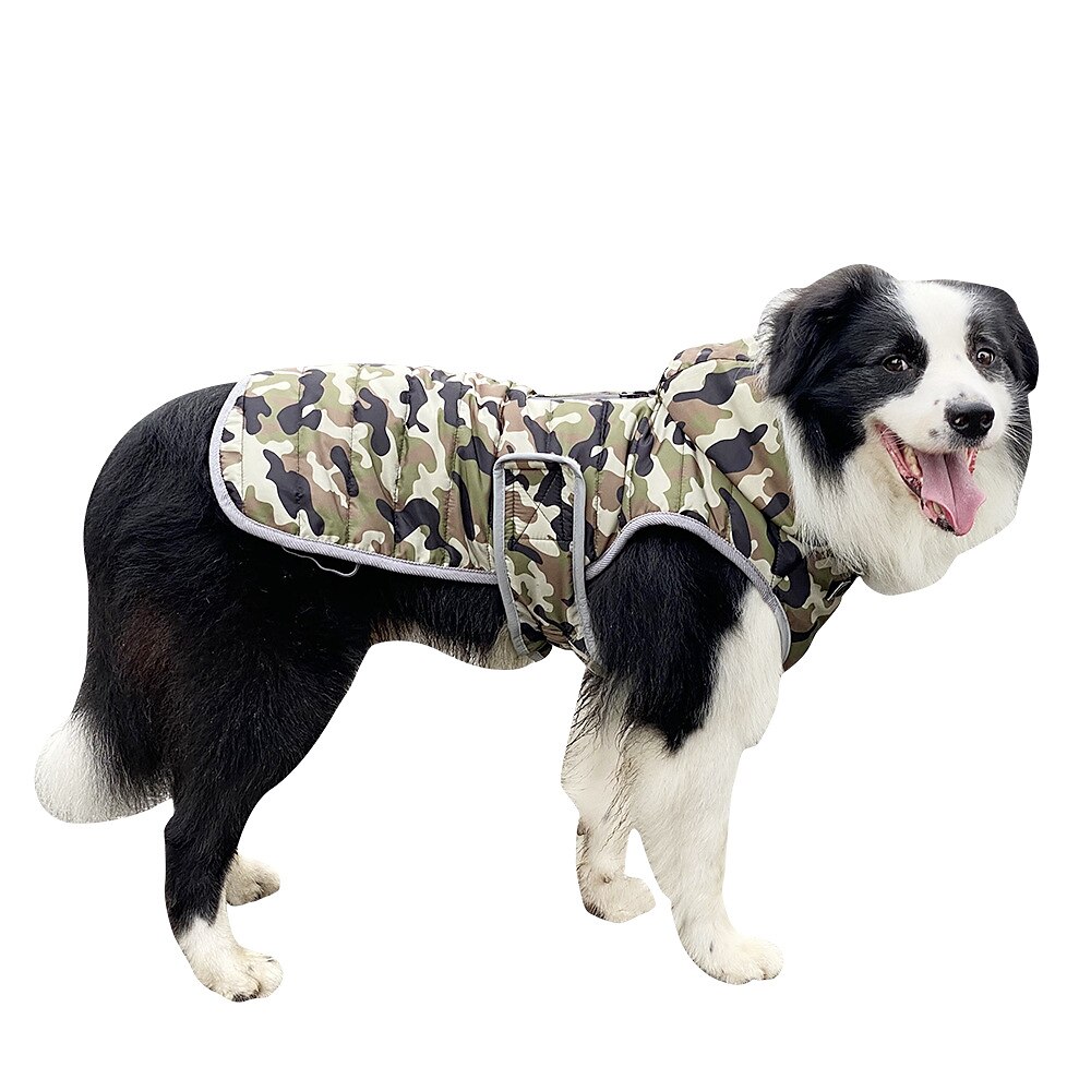 Cachorros Gatos Casacos Jaqueta Moda Estilo bonito Inverno Respirável Macio Lavável Confortável Ao ar livre Casual / Diário Roupas para cães for Bichon Frise Pomerânia Animais de Pequeno Porte de 2025 por $35.99 –P7