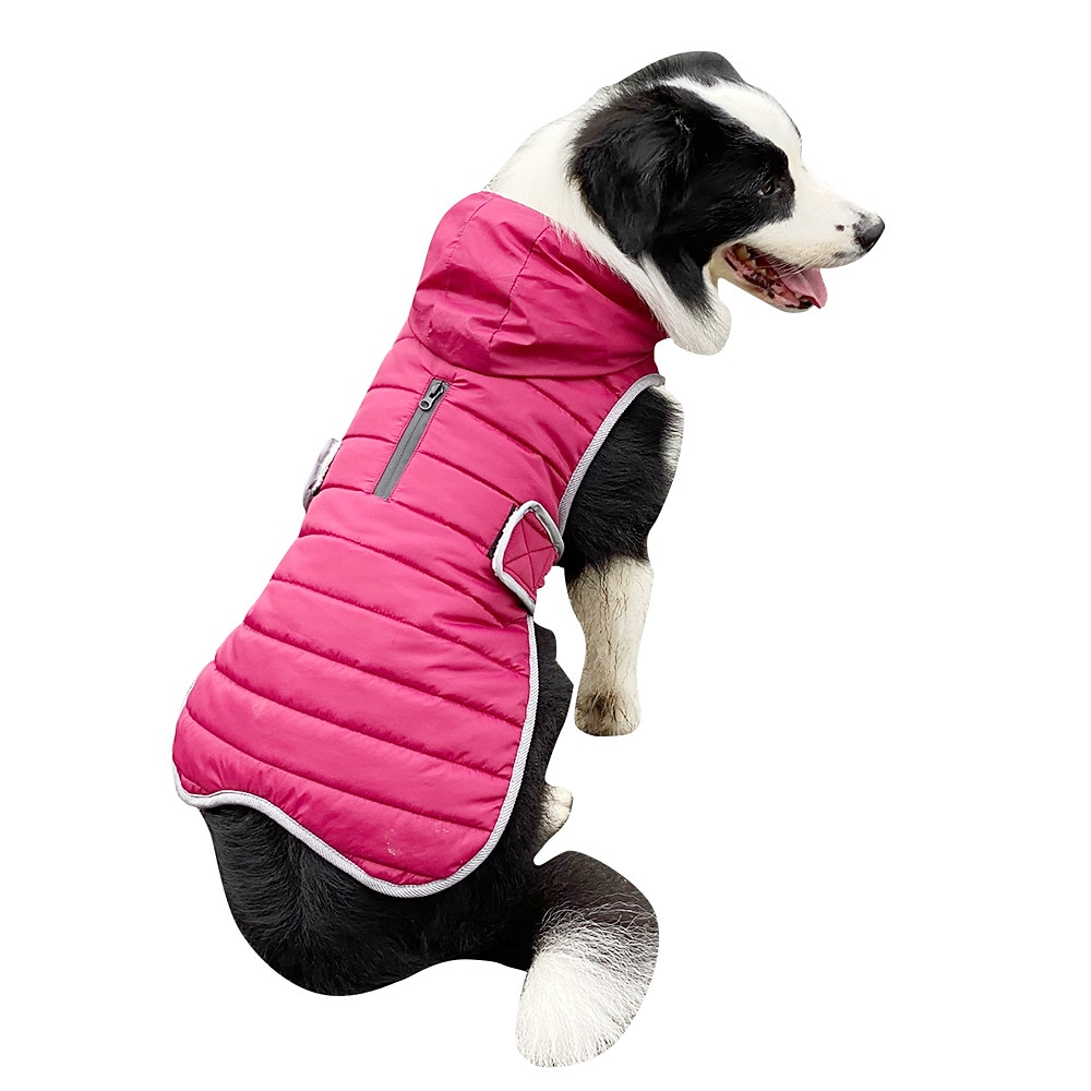 Cachorros Gatos Casacos Jaqueta Moda Estilo bonito Inverno Respirável Macio Lavável Confortável Ao ar livre Casual / Diário Roupas para cães for Bichon Frise Pomerânia Animais de Pequeno Porte de 2025 por $35.99 –P3