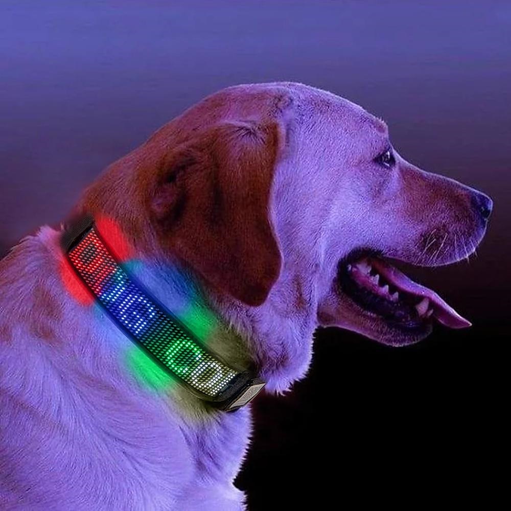 2025年 2023 新しい Bluetooth プログラマブル LED ペット犬猫首輪点滅発光調整可能な名前サイン抗紛失首輪 コレクション – $43.99 –P7