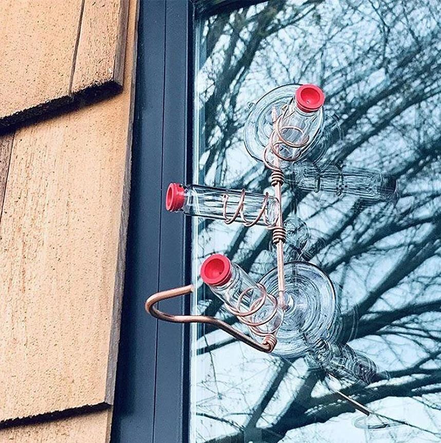 Window Hummingbird Feeder Window Mount Hummingbird Feeder Water Drinker Outdoor Garden Yard Decor 2025 - $9.49 –P6