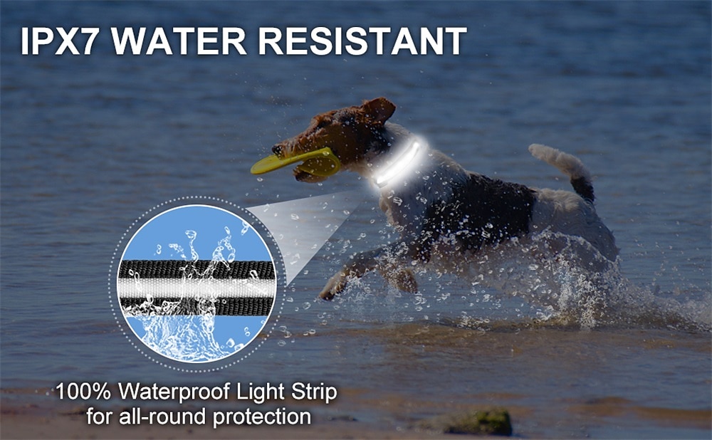 LED Dog Collar with AirTag Holder – IPX7 Waterproof USB-C Rechargeable Glow Nylon Pet Collar for Small Dogs & Puppies, Light Up Flashing for Night Walking 2026 - $20.16 –P5