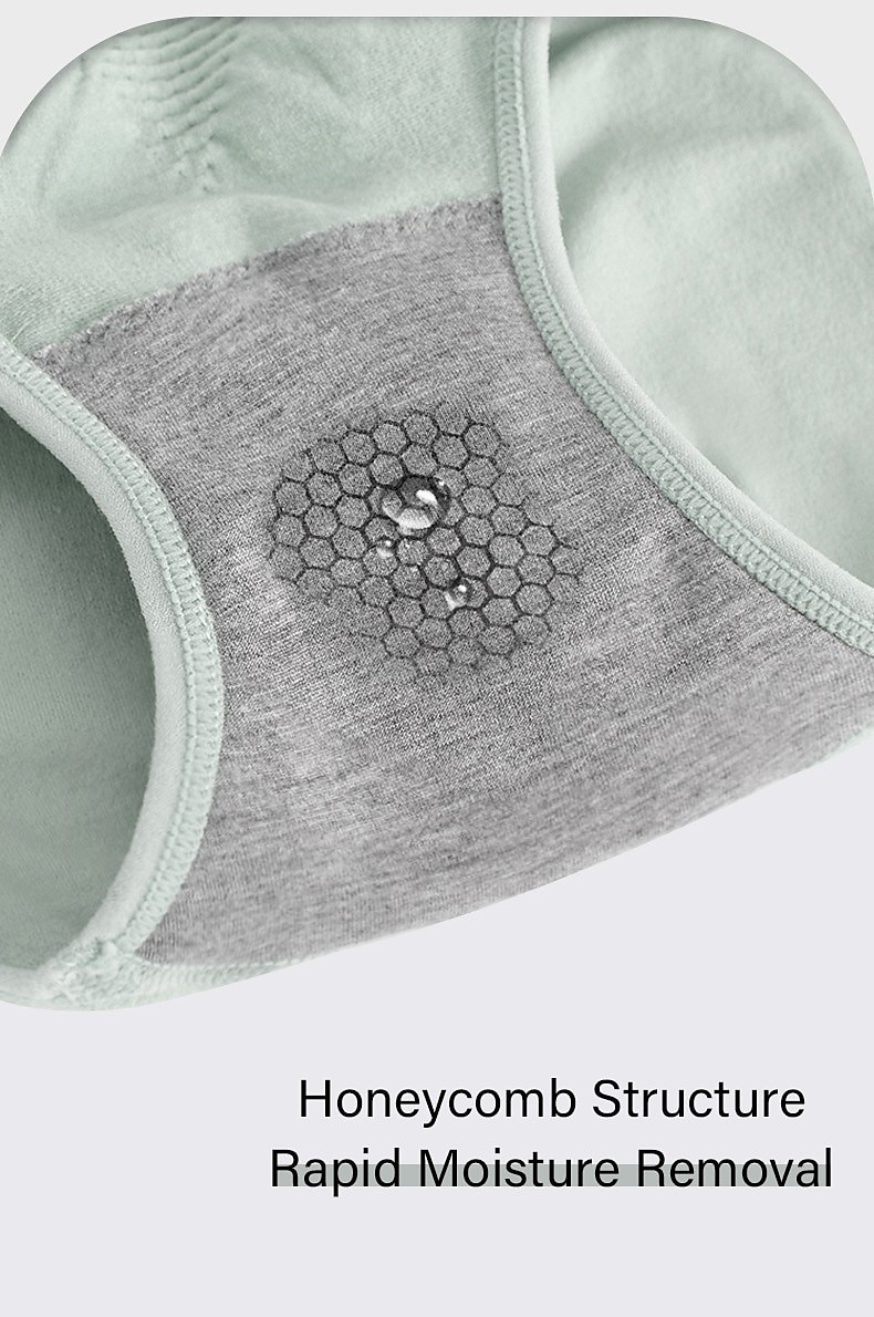 Femme Taille haute Élévation de la hanche Couleur unie / unie Sous-vêtements Standard Printemps, Août, Hiver, Eté Violet claire Gros rouge Vert Noir Rose Claire de 2025 ? $3.49 –P9