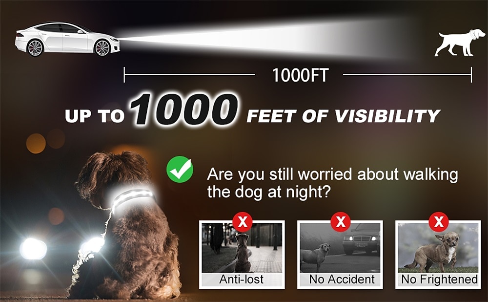 LED Dog Collar with AirTag Holder – IPX7 Waterproof USB-C Rechargeable Glow Nylon Pet Collar for Small Dogs & Puppies, Light Up Flashing for Night Walking 2026 - $20.16 –P4