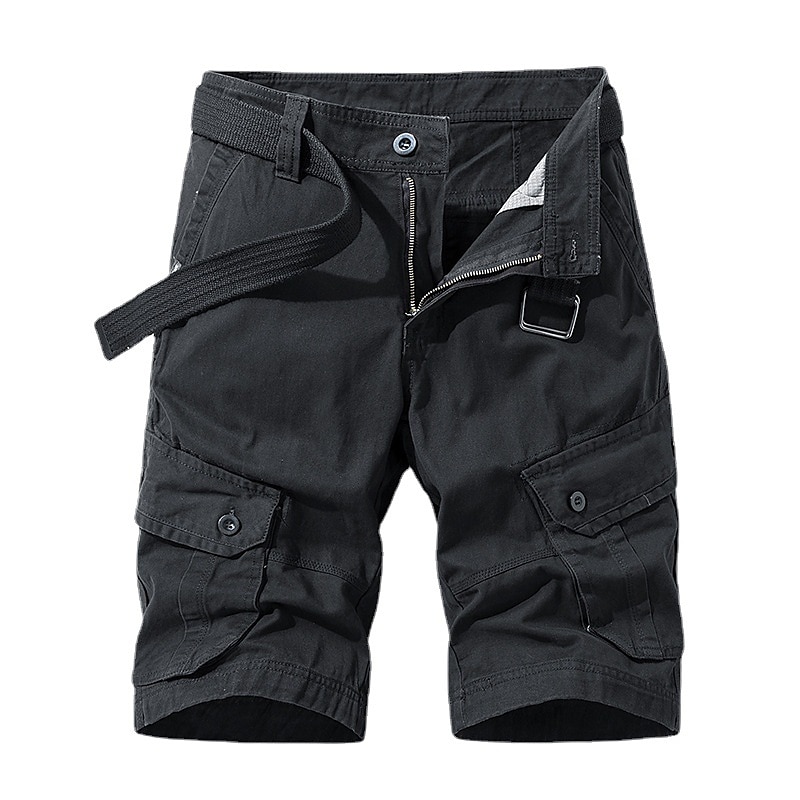 Herre Cargoshorts Shorts Shorts til turbruk 6 lommer عادي Komfort Pustende Knelengde Avslappet Daglig Gateklær 100 % bomull Sport Mote Blå Grønn Mikroelastisk 2025 - $21.99 –P6