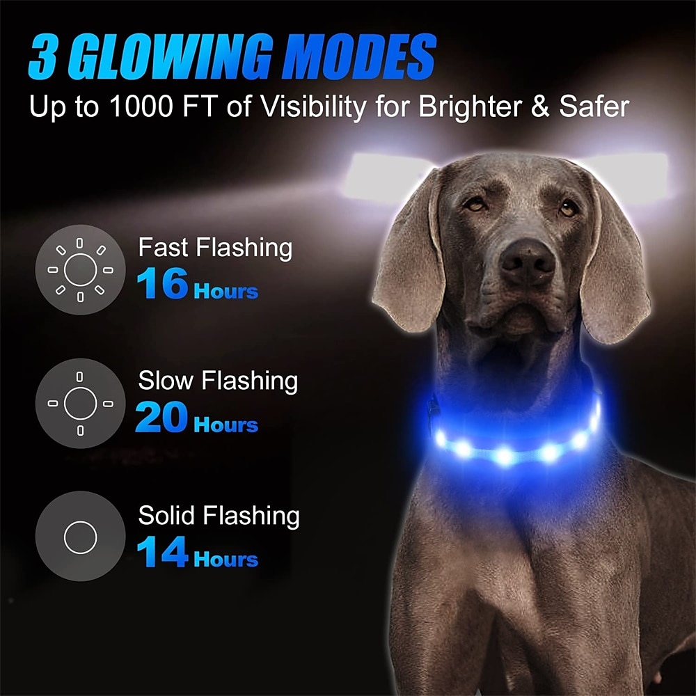 LED Dog Collar with AirTag Holder – IPX7 Waterproof USB-C Rechargeable Glow Nylon Pet Collar for Small Dogs & Puppies, Light Up Flashing for Night Walking 2026 - $20.16 –P8